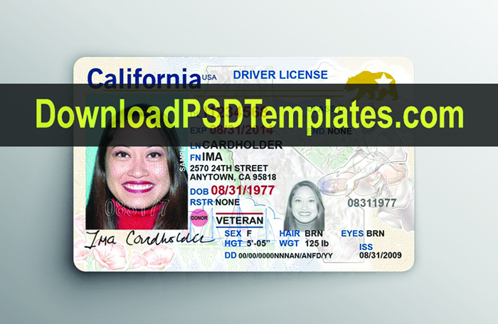 free drivers license template photoshop